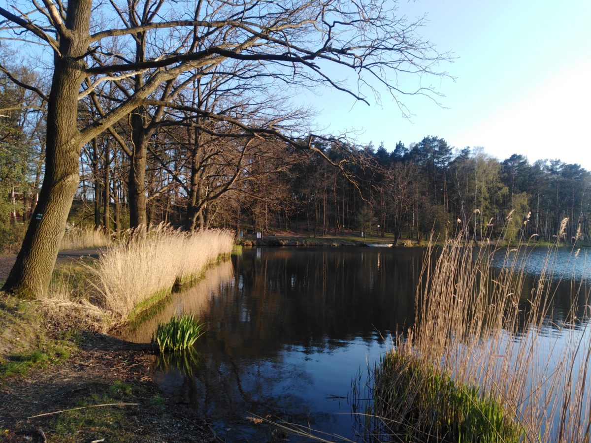 Stvolínky – Drum, Bezirk Böhmisch Leipa…