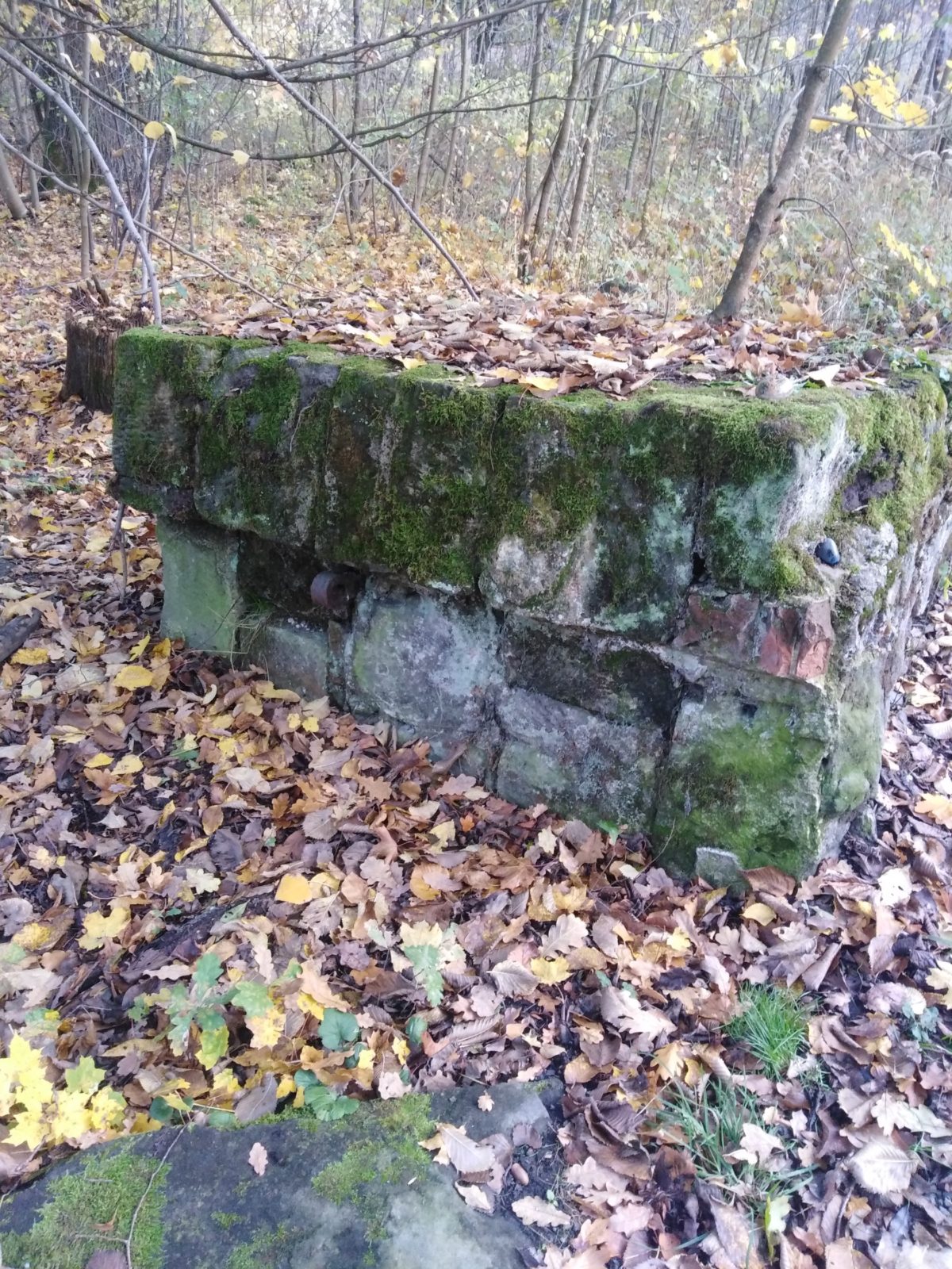 Zahrádky Álej Waldštejnská