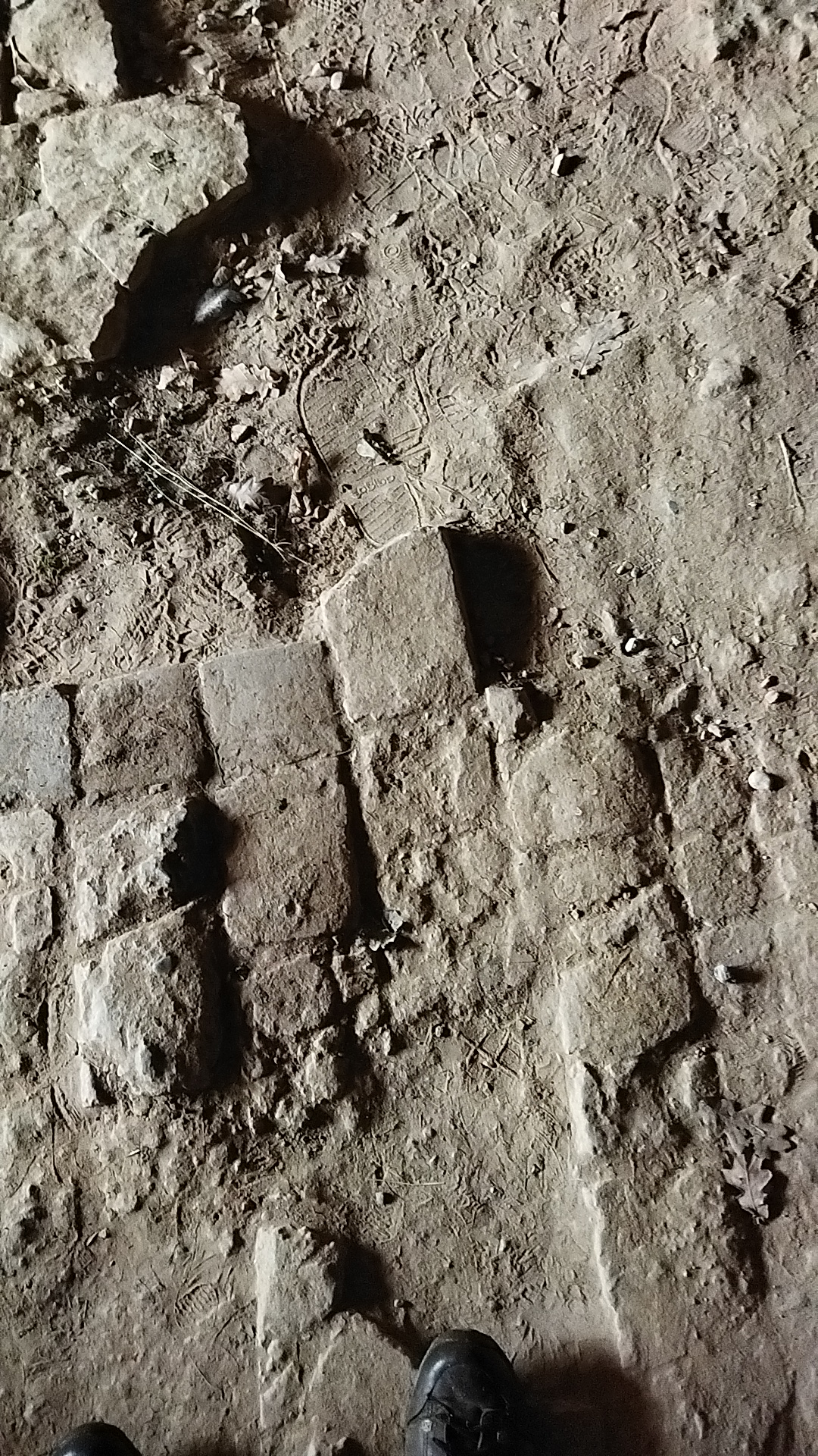 Fahrradweg von Dresden nach Terezín