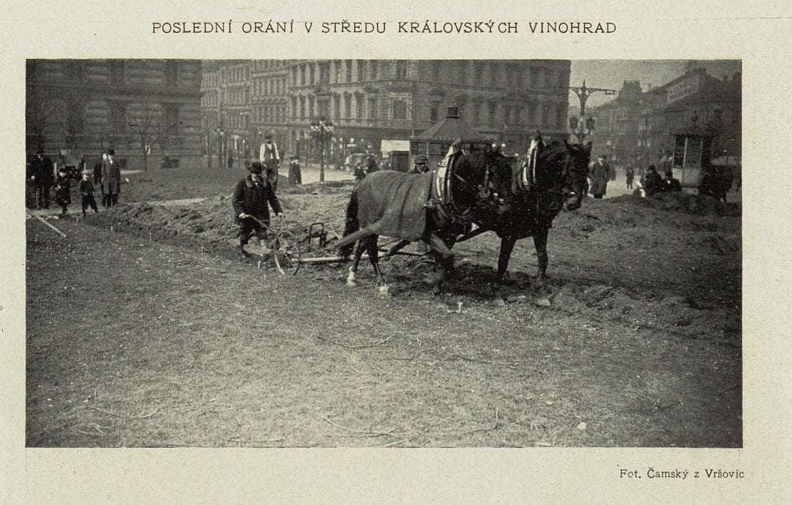 Poslední zemědělec na Vinohradech